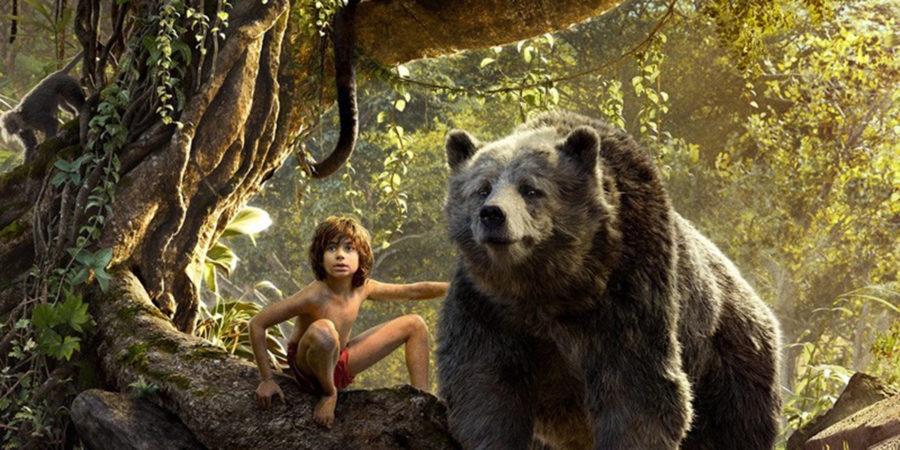 Baloo, voiced by Bill Murray, and Mowgli, played by Neel Sethi, work together while Mowgli waits to return to his own kind. 