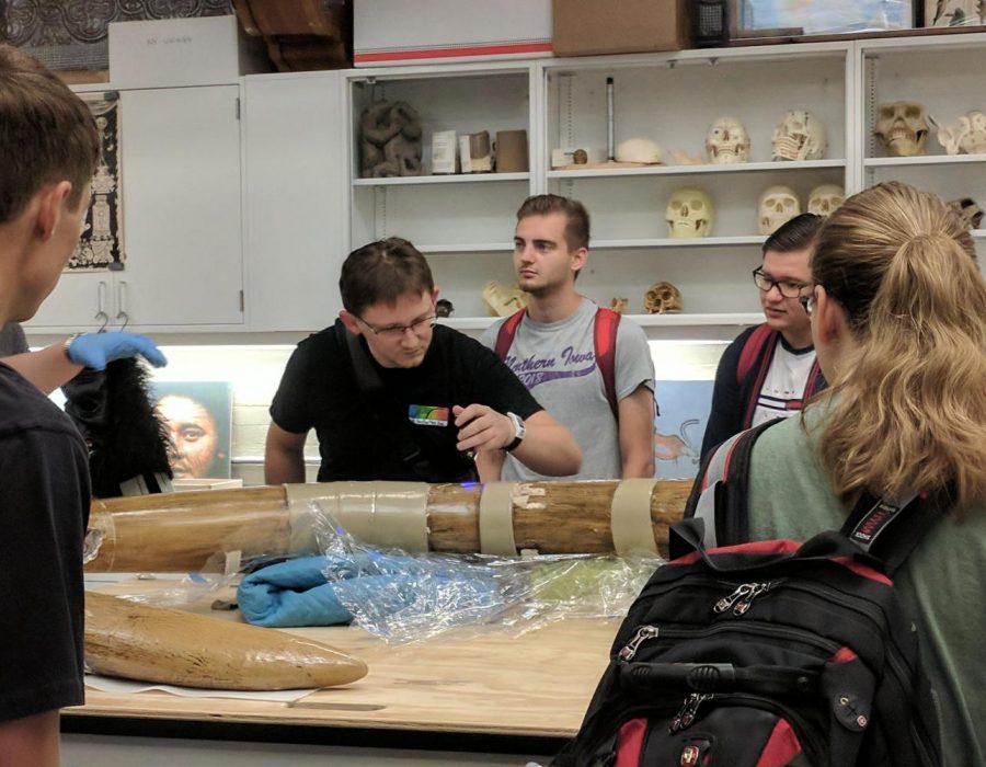 Some UNI students have acquired the opportunity to examine the mastodon tusk first-hand, thanks to a recently received grant. The tusk has been in possession of the UNI Museum for almost 100 years.