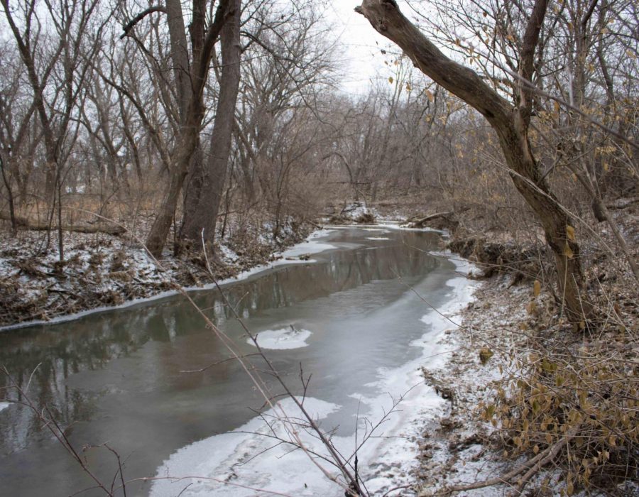 The Cedar Valley watershed uses groundwater, instead of surface water like this stream near UNI, for its drinking water, according to Clayton.