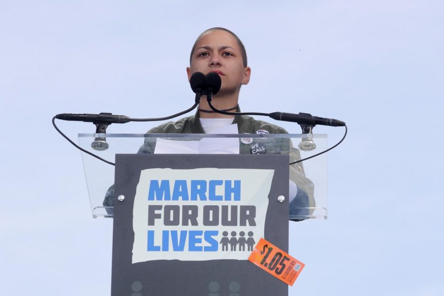 Opinion columnist Caleb Stekl criticizes a recently published editorial by the students of Marjory Stoneman Douglas High School for failing to address what he perceives to be the core issues leading to gun violence.