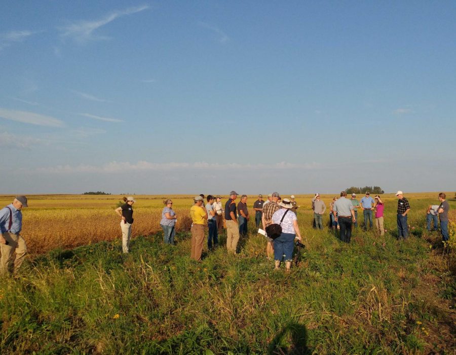 Established in 1999, the Tallgrass Prairie Centers mission is restoring native vegetation for the benefit of society and the environment, with research, education and technology transfer, according to their website.