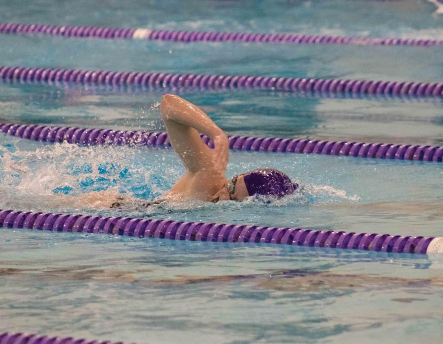 Swimming and diving victorious once again