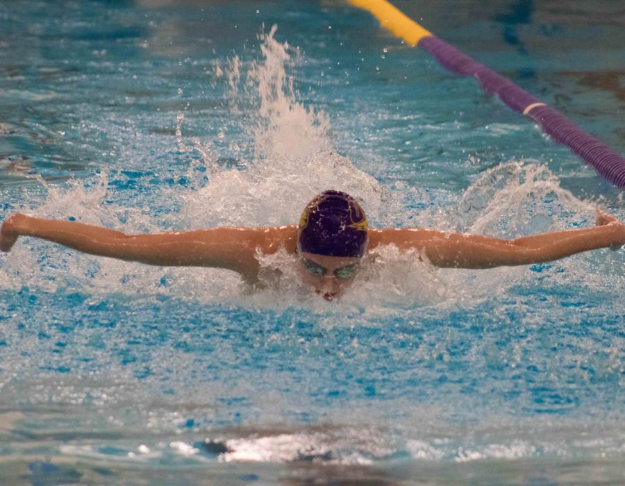 Taylor leads swimming in wins