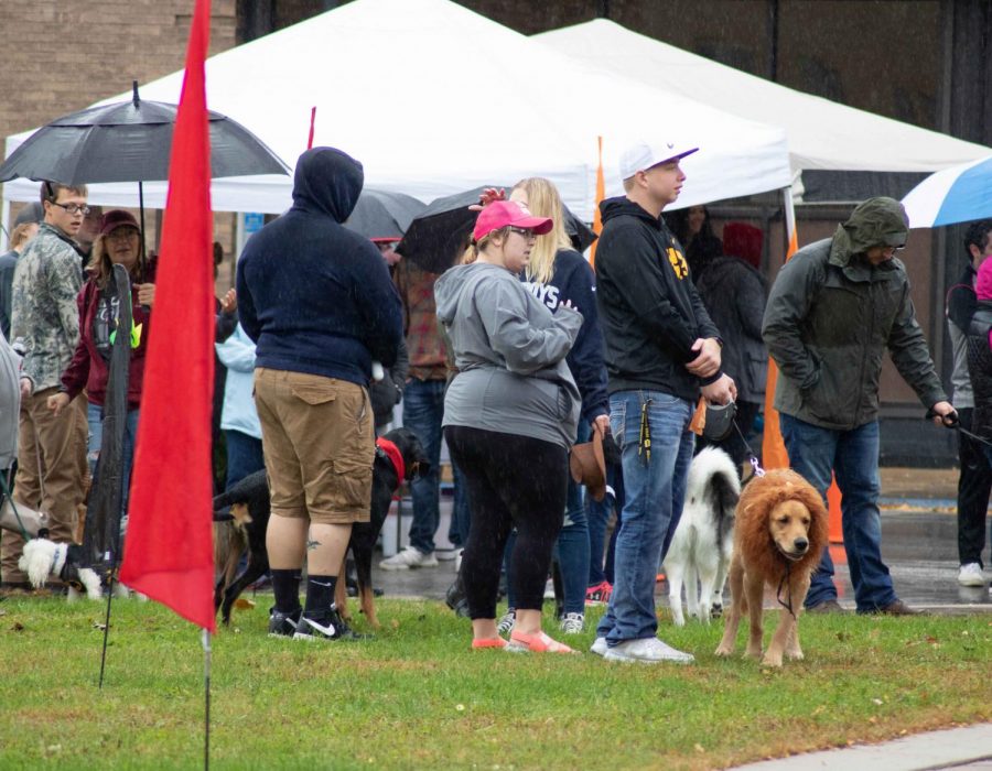 Panther Portrait: Howl O Ween Pet Parade