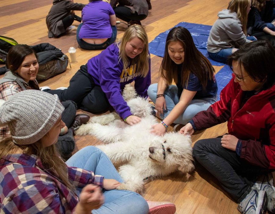 Students de-stress before finals