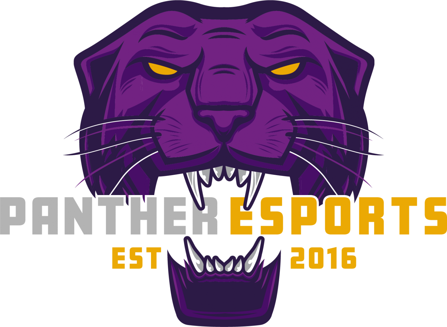 Game+on+Panthers%3A+the+rise+of+UNI+Esports