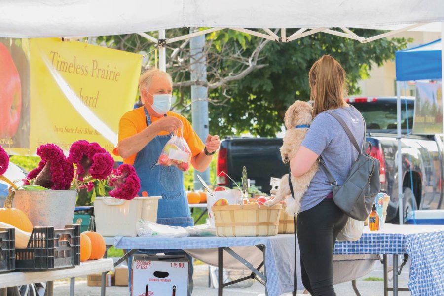 Panther Portrait: College Hill Farmers Market