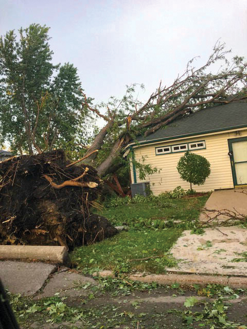 Many Iowa communities suffered damage during the derecho in August. UNI students have organized a virtual 5K to raise money for derecho relief efforts. 
