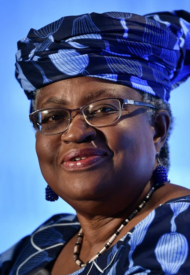 Ngozi Okonjoa-Iweala and the WTO dont fit