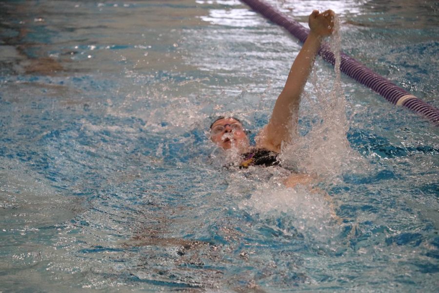 The UNI swimming and diving team had a fantastic showing on Friday, defeating Valpo 171-53.