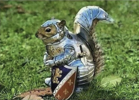 UNI squirrels have taken up arms against humans in a revolutionary fight for freedom and vengeance. 