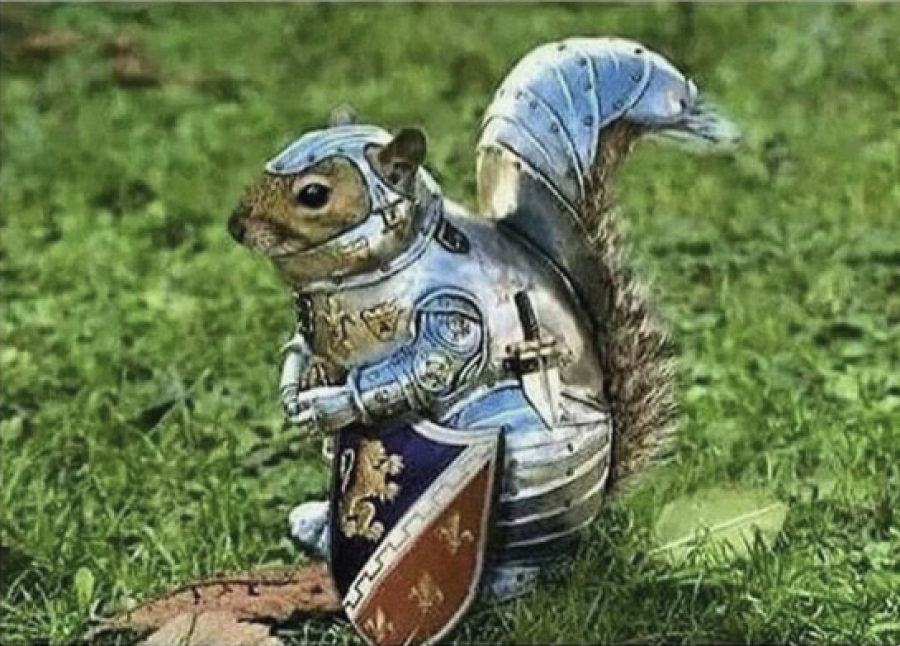 UNI+squirrels+have+taken+up+arms+against+humans+in+a+revolutionary+fight+for+freedom+and+vengeance.+