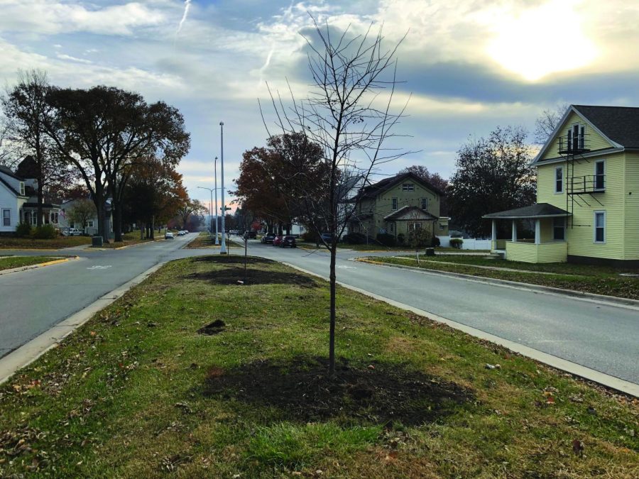 The trees were cut down, and new Royal Raindrop crabapple trees were planted during the last week of October. The new trees will be similar in appearance, but will be more resistant to disease. 