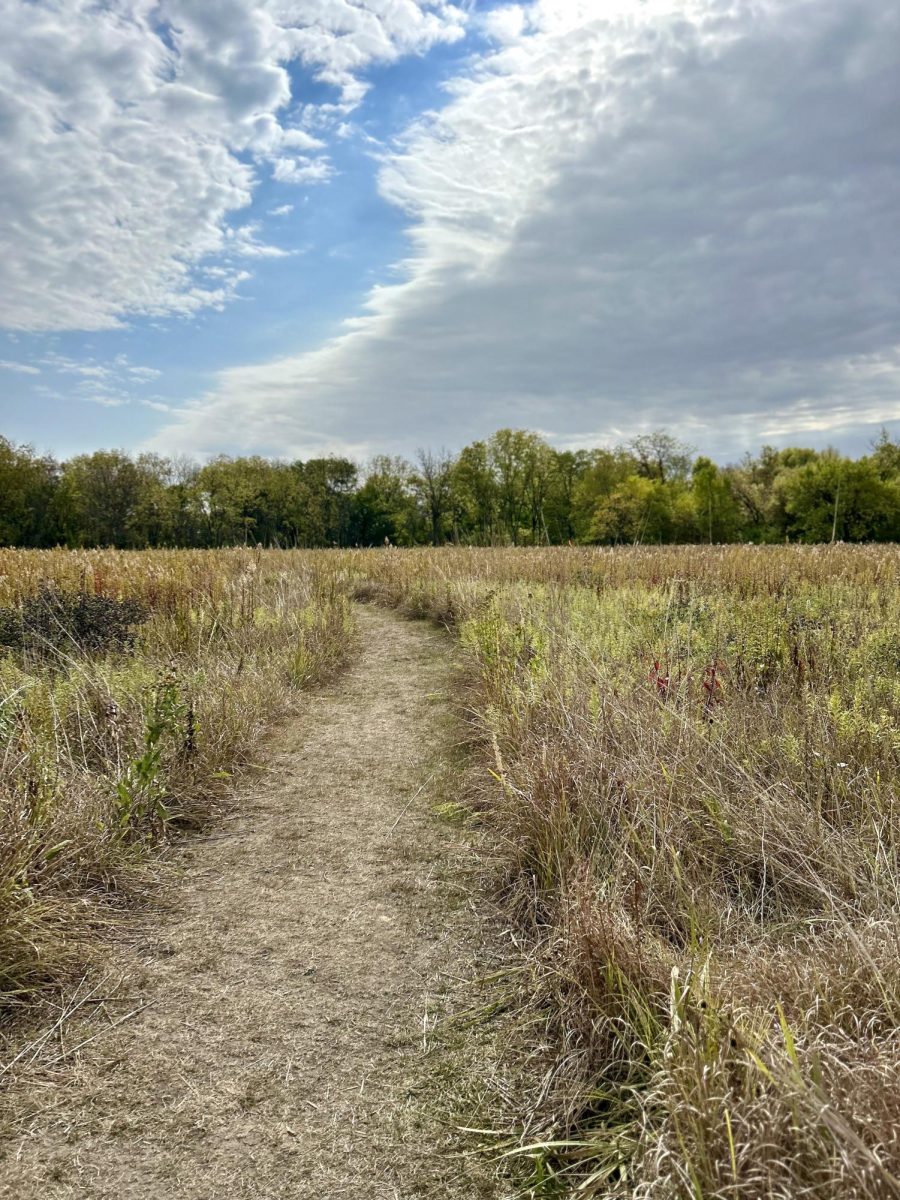The+tallgrass+prairie+is+located+behind+UNI%E2%80%99s+Residence+on+the+Hill+%28ROTH%29%2C+and+is+home+to+eight+acres+of+trails+for+students+to+explore.+The+prairie+celebrated+its+50th+anniversary+of+its+restoration.