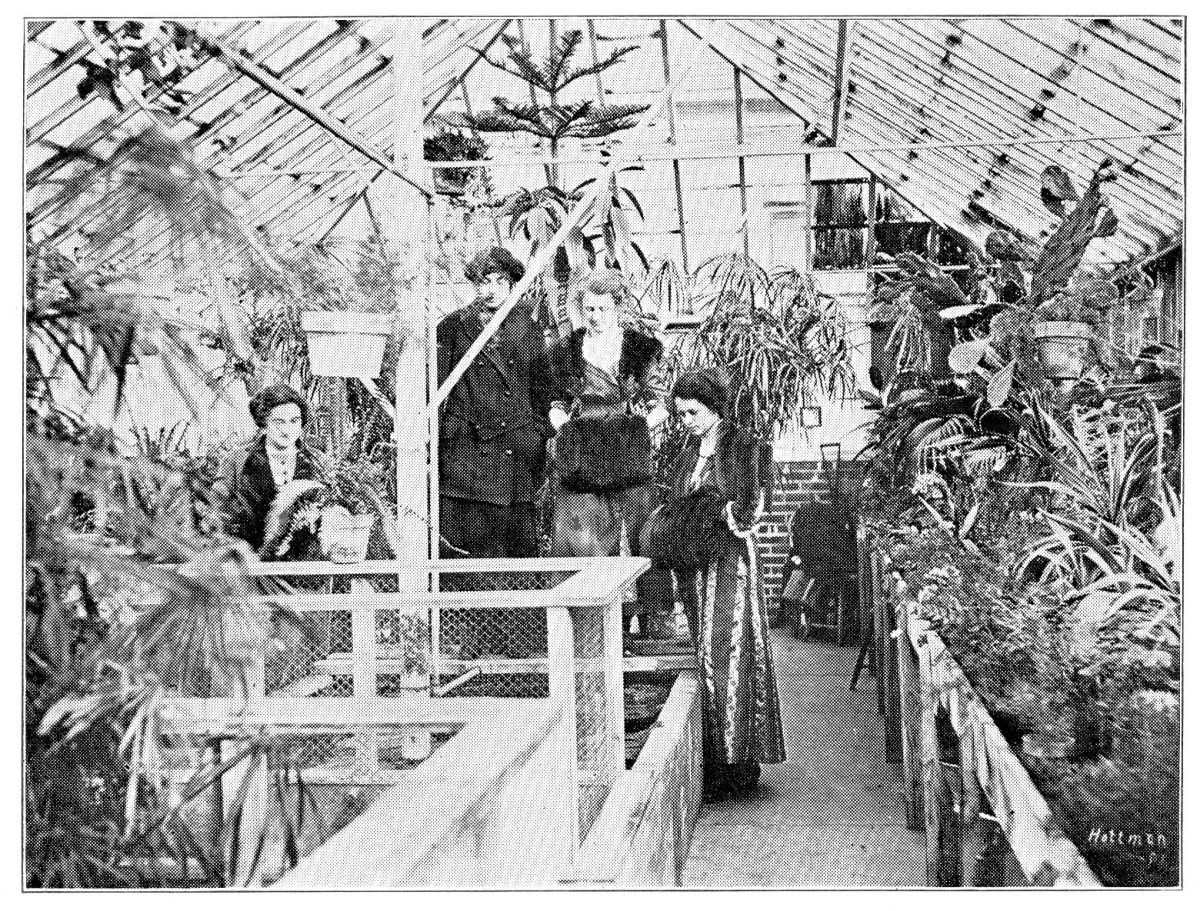 Students enjoying the greenhouse in 1913. The building has undergone
multiple renovations over the years to make it a better teaching facility.