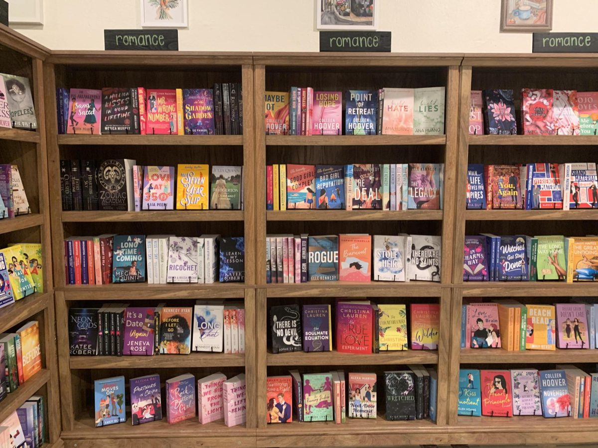 Above+is+one+of+the+many+shelves+filled+to+the+brim+with+books+in+The+Nook.+Abby+Olson%2C+co-owner%2C+wants+to%0Aexpand+the+collection+so+that+there+is+a+book+for+everyone+in+the+store.