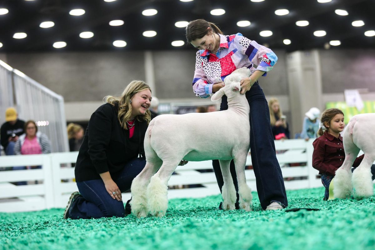 Jahner+and+her+prize-winning+ram%2C+Gypsy+King%2C+or+GK%2C+competed+at+the+NAILE+show+in+which+her+and+GK+championed.+Dorsets+are+judged+based+off+of+weight%2C+height%2C+and+color.