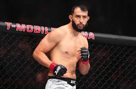 Dominick Reyes looks go take down Carlos Ulberg in a light heavyweight title  fight.