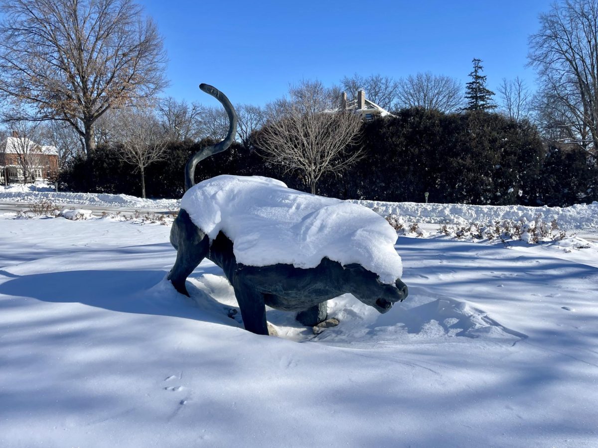 Winter classes: Don’t slip on the ice