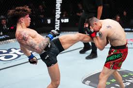 Kavanagh ushers in new era for flyweight division